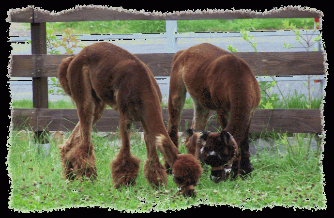 100_3112