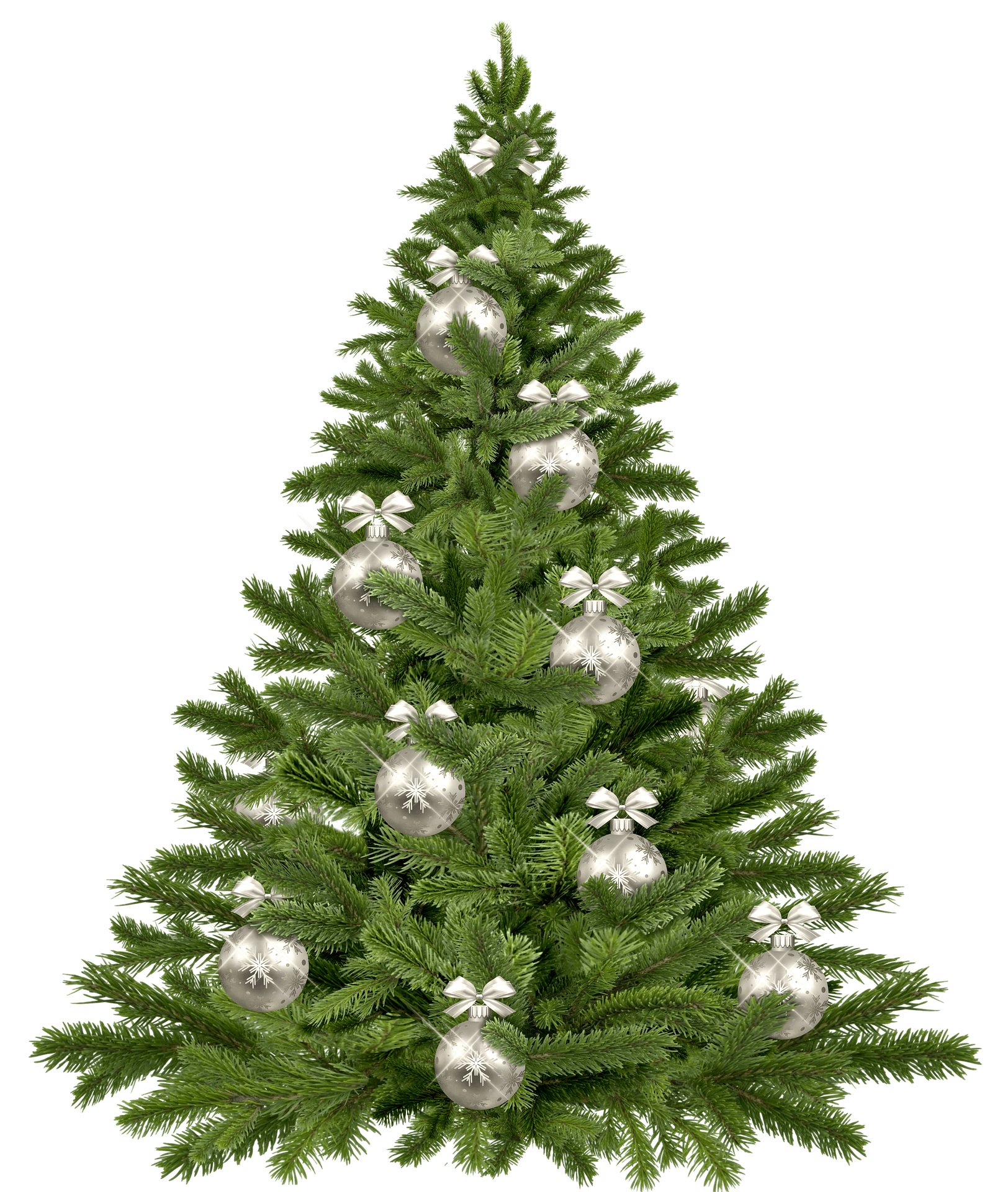 christmas-tree-1853582_1920(1)